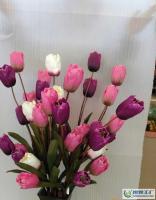 婚慶/禮儀/慶典裝飾/仿真花/假花/絹花/郁金香[供應(yīng)]_世界工廠網(wǎng)中國(guó)產(chǎn)品信息庫